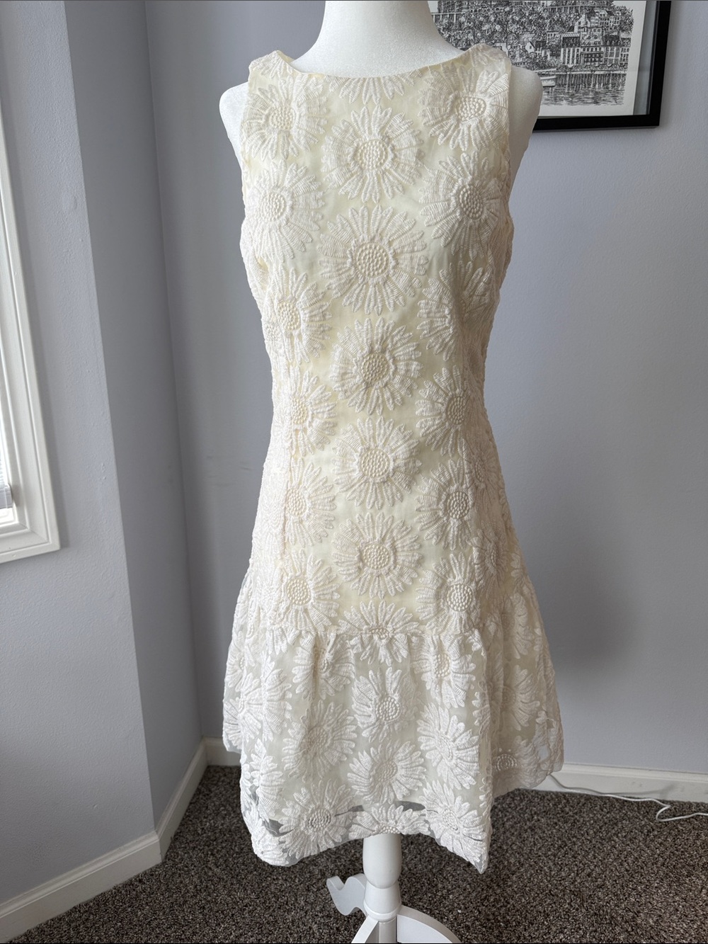 Banana Republic Tall Off-White Floral Lace Mini Dress